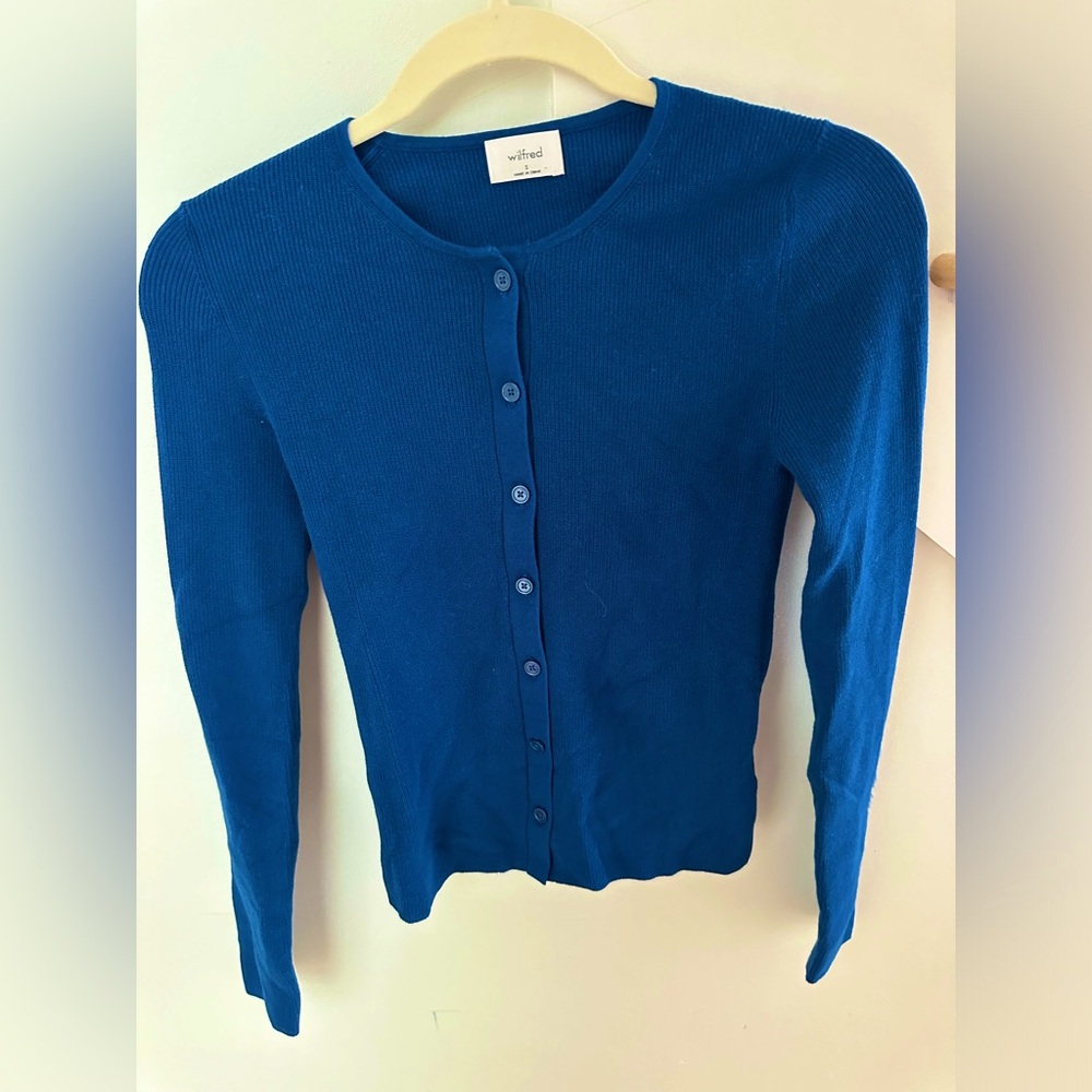 Bright Blue Form Fitting Aritizia Longsleeve